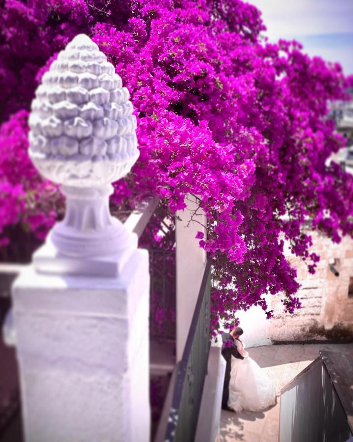 Le Dimore In Piazzetta มาสซาฟรา ภายนอก รูปภาพ